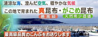 img.150x100