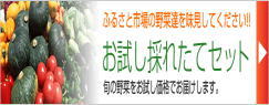 img.150x100