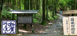 img.150x100
