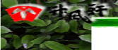 img.150x100