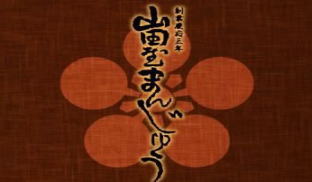 img.150x100
