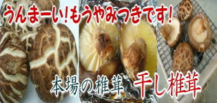 img.150x100
